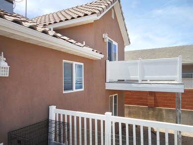 backyard (2)