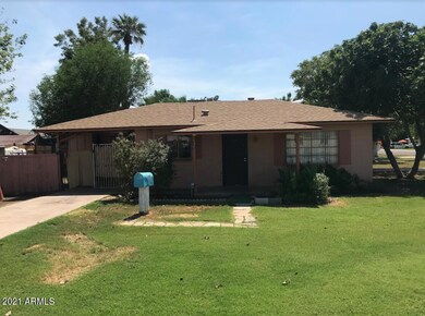 Ocotillo_Front B