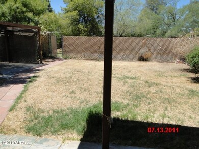 Back yard