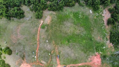 View of bird's eye view