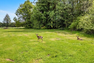6-web-or-mls-DJI_0334