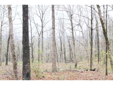 0 Bug Scuffle Rd unit 704288, West Fork, AR 72774 - photo 6