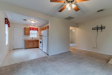 207 N Embarras Ave, Tuscola, IL 61953 - photo 7