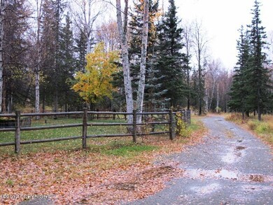 Driveway to Shop & Stalls