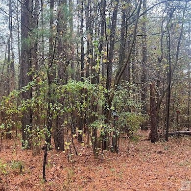 TBD Mc 226, Texarkana, AR 71854 - photo 3