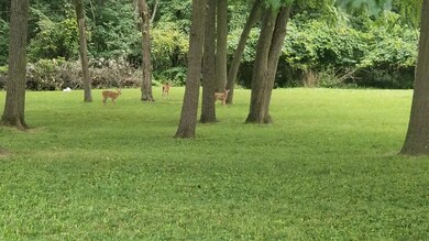 0 Adda Ave unit lot 36, 37, 38, 39., Brandywine, OH 43231 - photo 6