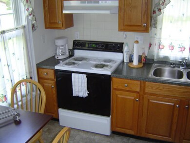 LOT 4 Blackhurst Addition, Cass, WV 24927 - photo 6