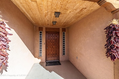 918 Road 4990, Bloomfield, NM 87413 - photo 4