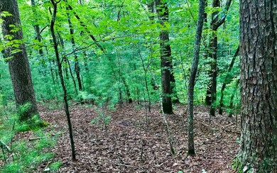 Additional View
