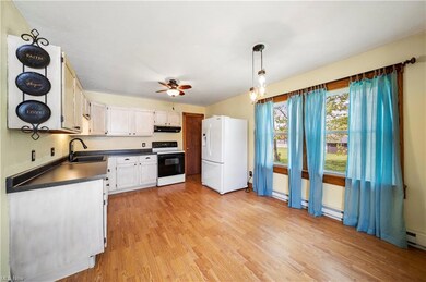 255 Westview Dr, Jefferson, OH 44047 - photo 7