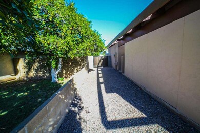 552 E Ivy St, Mesa, AZ 85203 - photo 5