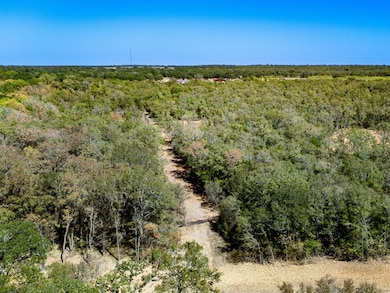 12191 County Road 414, Somerville, TX 77879 - photo 2