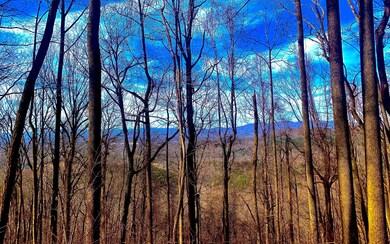 LT 67 Mealer Rd, Ellijay, GA 30536 - photo 5