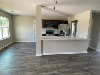 57 Riverside Dr, Ludowici, GA 31316 - photo 4