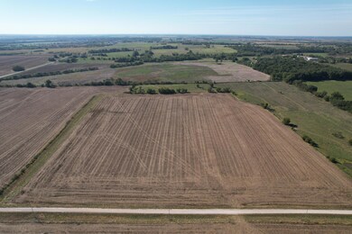 0000 SE 45th Rd, Golden City Township, MO 64748 - photo 5