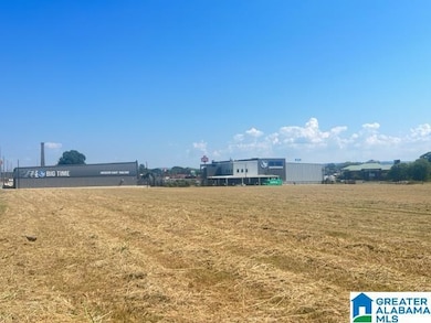 0 Elm St unit m&b 21432126, Oxford, AL 36203 - photo 4