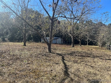 452 Jackson St, Andalusia, AL 36420 - photo 3