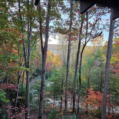 282 Papa Bear Path, Cherry Log, GA 30522 - photo 2