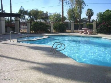 #113 pool