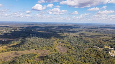 W C 48, Bushnell, FL 33513 - photo 4