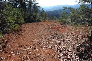 The sellers have detailed plans for a big log cabi