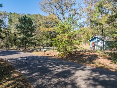 TBD An County Road 1225, Elkhart, TX 75839 - photo 3