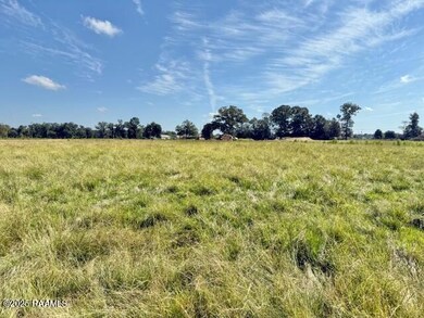 Tbd Judice Rd, Sunset, LA 70584 - photo 5