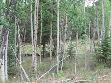 52 Chukar Ln, Como, CO 80432 - photo 2