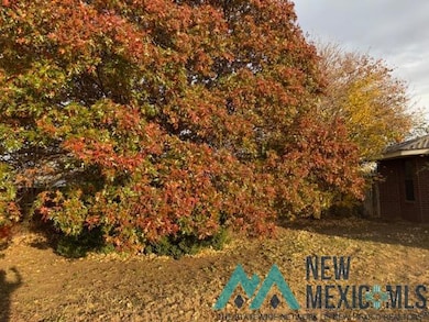 1148 Gemini Cir, Portales, NM 88130 - photo 2
