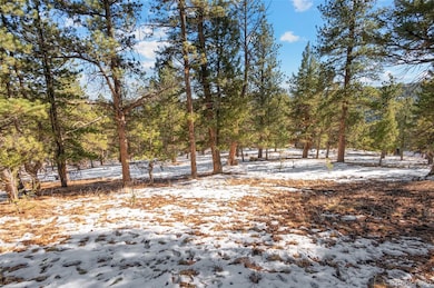 35441 Upper Aspen Ln, Pine, CO 80470 - photo 5