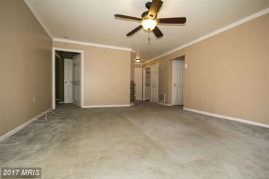 5011 Triplett Rd unit 5011, Owings Mills, MD 21117 - photo 4
