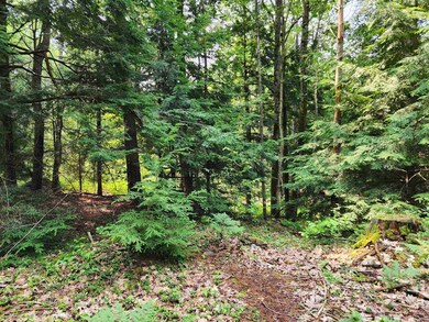 0 Creamery Rd, Fitzwilliam, NH 03447 - photo 6