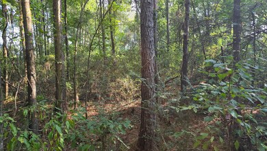 Alabama St, Roxie, MS 39661 - photo 4