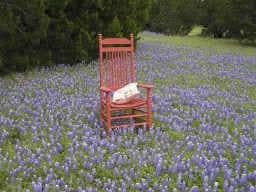 44199 Fringewood Dr, Whitney, TX 76692 - photo 3