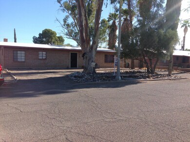 Mohave Photos (4)