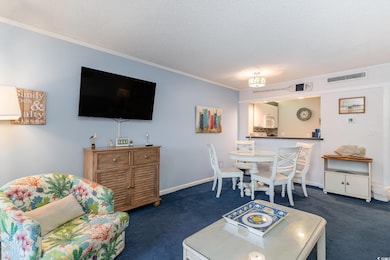 415 Ocean Creek Dr unit 2280 Lodge IV, Myrtle Beach, SC 29572 - photo 5