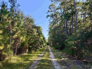 28+/- Acres-TBD Frank Cribb Rd, Georgetown, SC 29440 - photo 4