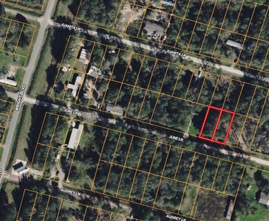 5 Lucy, Livingston, TX 77351 - photo 6