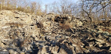 265 S Branch Mountain Rd, Moorefield, WV 26836 - photo 4