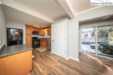 196 Trout Pond Ln unit 4, Banner Elk, NC 28604 - photo 7