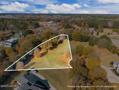 3103 Bluewillow Way, Greenville, NC 27834 - photo 4