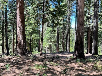 1619 Shoshone Dr, Dorrington, CA 95223 - photo 2