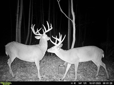 891 Pump Station Rd SE, Sugar Grove, OH 43155 - photo 4