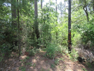 361 Noel, Cedar Point, TX 77351 - photo 4