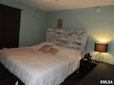 4524 25th Ave, Rock Island, IL 61201 - photo 5