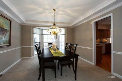 1341 Green Trails Dr, Naperville, IL 60540 - photo 6