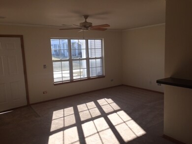 1846 Mappold Way, Joliet, IL 60435 - photo 6