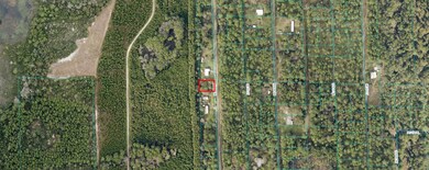 0 NE 65th Ave unit MFRO6242141, Citra, FL 32113 - photo 3