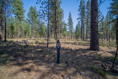 Elk Run Lot 391-01