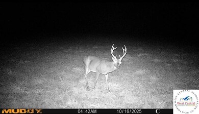 451 Tavern Creek Rd, Iberia, MO 65486 - photo 7